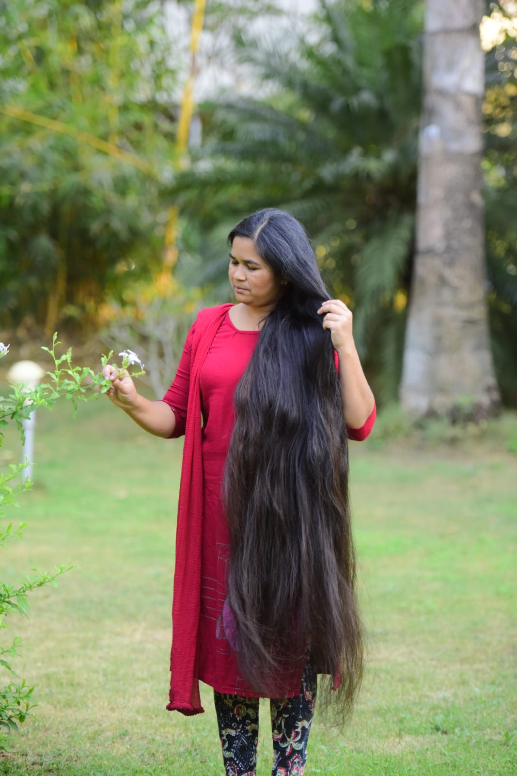 Neelambari Adivasi Herbal Hair Oil