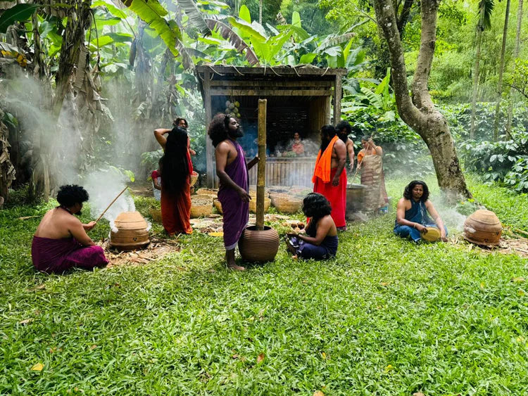 Neelambari Adivasi Herbal Hair Oil